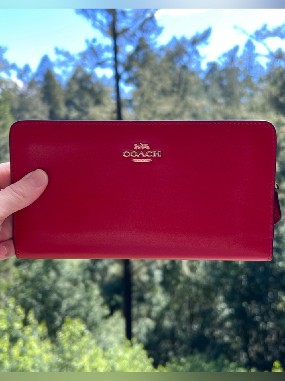 COACH Red Smooth Leather Slim Wallet Clutch CC Holder Gold Hardware AUTHENTIC